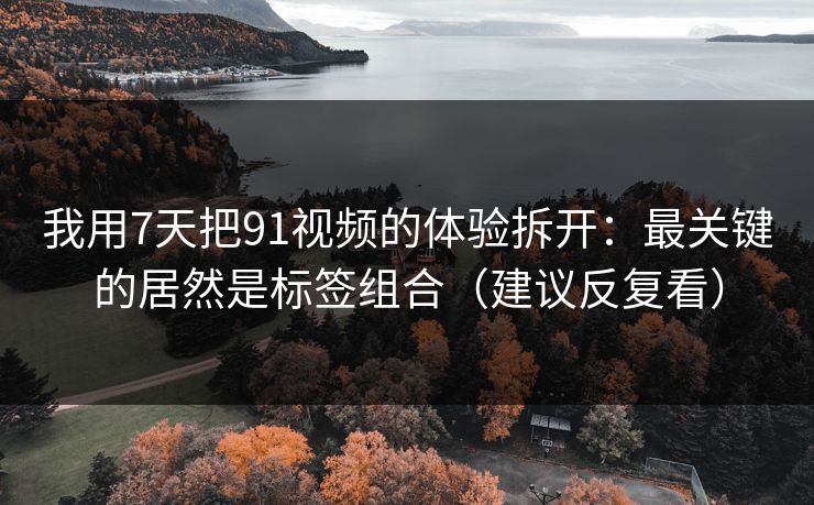 我用7天把91视频的体验拆开：最关键的居然是标签组合（建议反复看）