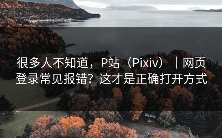 很多人不知道，P站（Pixiv）｜网页登录常见报错？这才是正确打开方式